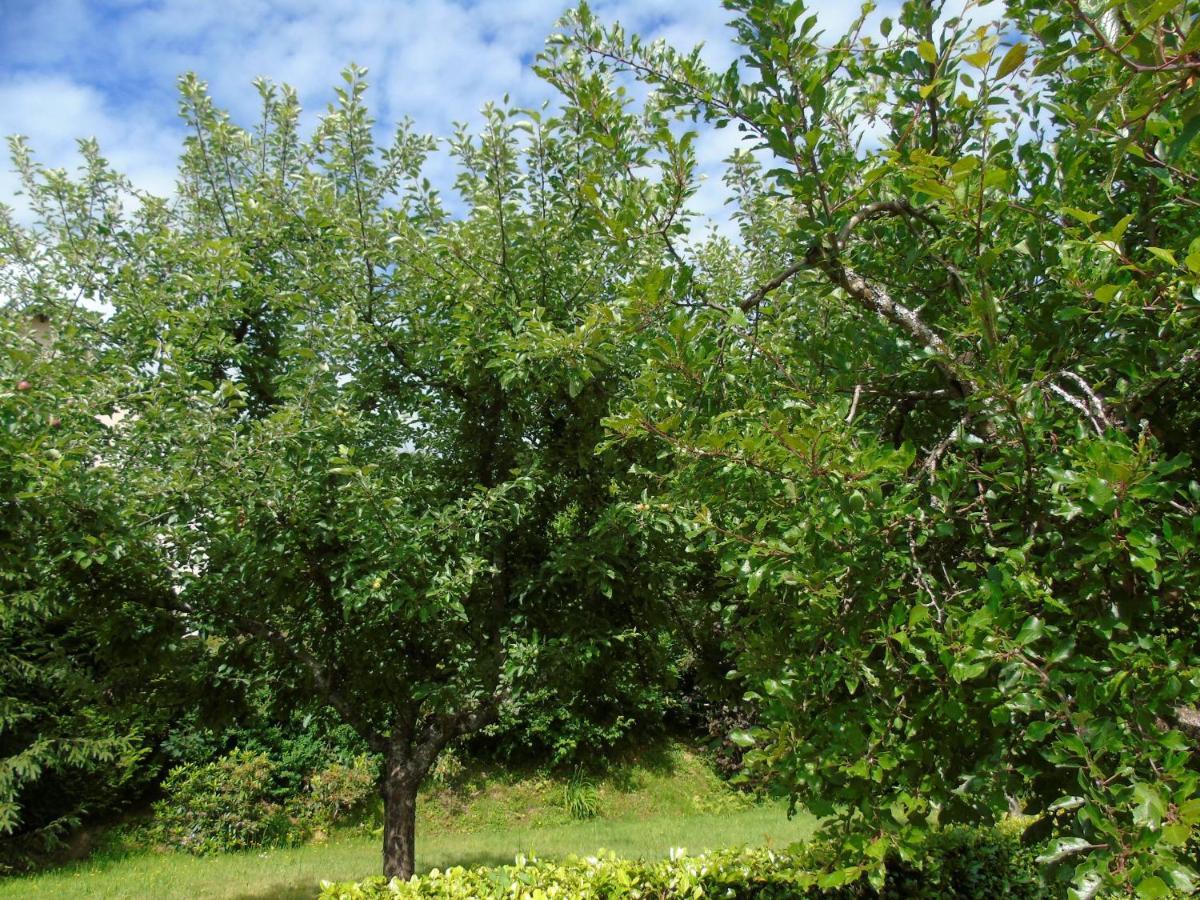 Maison L'Hirondelle Rustique A Tournavaux Luaran gambar