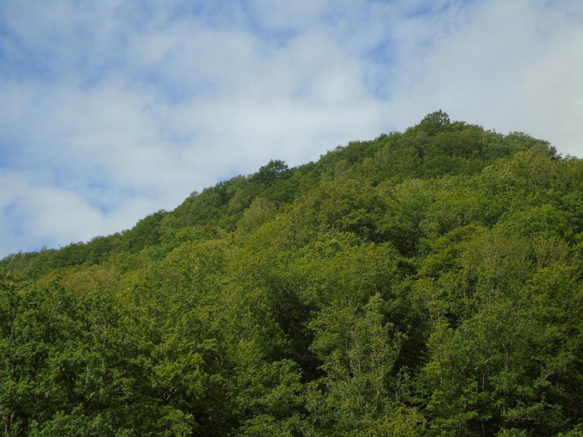 Maison L'Hirondelle Rustique A Tournavaux Luaran gambar